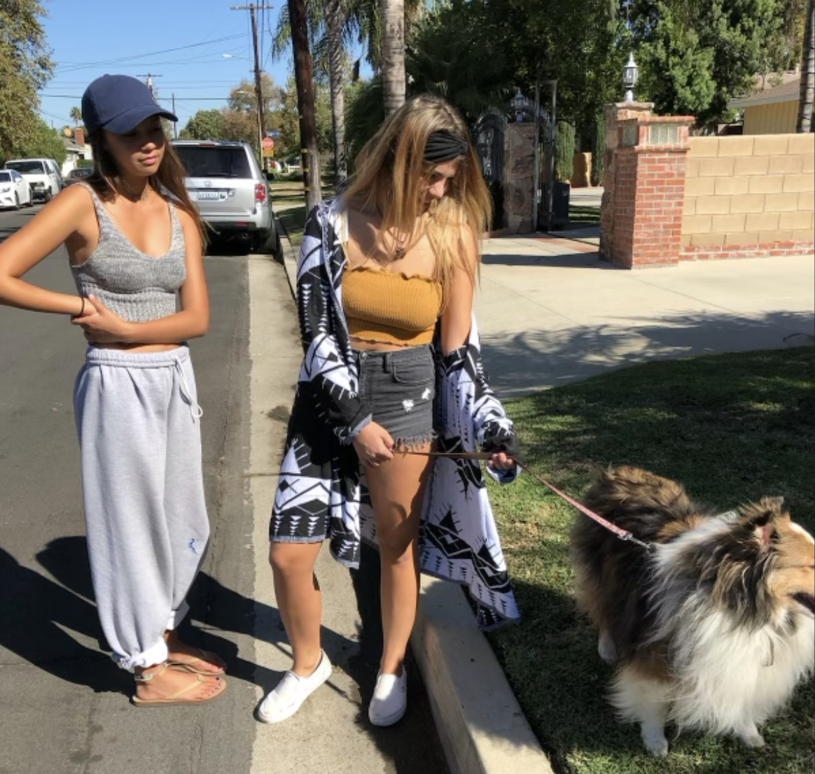 Dog and person together
